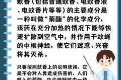 蚊子被蚊香熏晕了能活过来吗，被蚊香熏的恶心怎么办