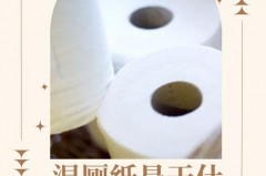 大便用湿厕纸擦好不好，大便用湿巾擦好不好