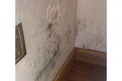 耐水腻子发黄是怎么回事_耐水腻子会开裂吗