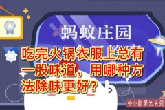 挂烫机可以去除火锅味吗_挂烫机能洗掉油渍吗