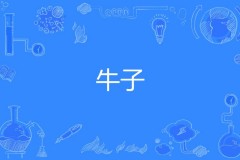 牛子的别名是什么，牛子是哪里的叫法？