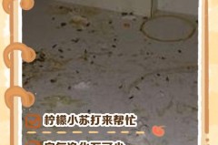 老鼠在衣服上撒尿怎么洗，老鼠大小便在衣服上怎么消毒