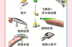 路亚微物是什么意思_什么叫路亚微物