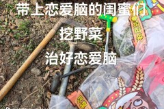 关于给恋爱脑的姐妹挖野菜是什么梗的信息
