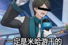 一定是米哈游干的是什么梗，一定是米哈游干的 表情包？