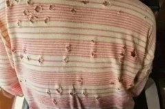 衣服被蟑螂爬过碍事吗_衣服碰到蟑螂