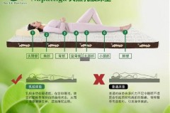 几厘米乳胶的床垫好_几厘米的乳胶床垫合适