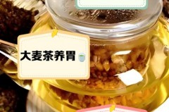 保温壶能泡大麦茶吗_保温壶能泡茶喝吗
