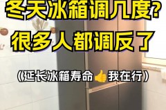 冬天冰箱开中档好还是强档好_冬天冰箱应该开高档还是低档