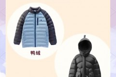 羽绒服买鸭绒好还是鹅绒好_羽绒服买鸭绒好还是鹅绒好呢