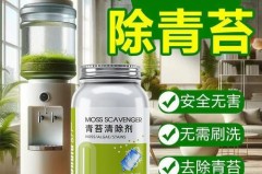 水桶里面的绿色的怎么处理_水桶里面绿了怎么办