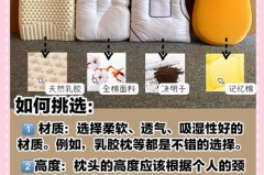 抱枕为什么不能当枕头_抱枕为什么不能竖着抱