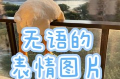 无语子绝绝子是什么梗，无语子绝绝子是什么意思？