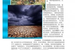 森林砍伐的最主要原因是什么_造成森林砍伐的最重要原因
