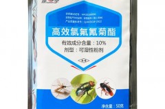 蚊香0.05与0.08哪个健康_蚊香03和08
