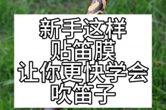 笛子贴一次笛膜可以用多久，笛膜要贴几个