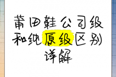 200多能买到公司级莆田鞋吗_二三百的莆田鞋是公司级吗