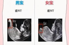 美国男宝女宝测试杯准吗，美国男女宝宝测试卡