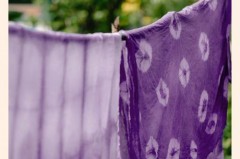 桑葚染衣服上能洗掉吗，桑葚汁染衣服？