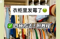衣柜发绿毛怎么回事，衣柜里绿色的东西是什么？
