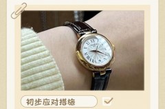 手表进水放在大米里有用吗，手表进水为什么放米里？