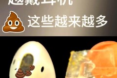 耳机网罩上面有耳屎怎么办_耳机里面的纱网