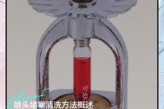 挂烫机可以用温水吗，挂烫机用热水还是凉水
