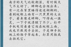 蚊帐有荧光剂会有害吗，蚊帐有荧光剂会有害吗图片