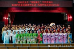 属于保山市特色文化艺术的是什么，属于保山市特色文化艺术的是什么？