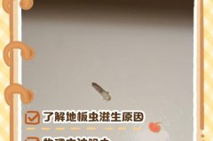 地板生虫可以除干净吗_地板生虫用什么药