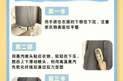 挂烫机不用毛刷可以直接用吗_挂烫机不用了是否要把水放出来