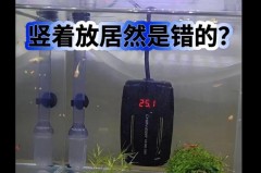 鱼缸加热棒能放在底部吗_鱼缸加热棒可以放在缸底吗