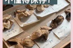陈皮储存正确方法_陈皮的储存方式