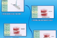 冲牙器只能冲牙齿正面吗，冲牙器可以直接冲牙槽么