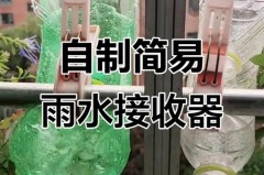收集露水最简方法，收集露水的方法？