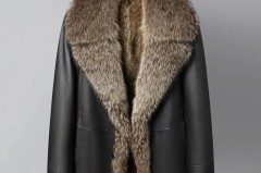 貉子毛什么颜色上档次_貉子毛哪种颜色最贵