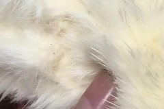 水貂毛毛衣掉毛严重是否不好，水貂毛毛衣掉毛非常严重？