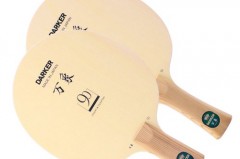 电动滑板初学者适合硬板还是弹性_电动滑板选取