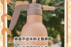 小喷壶喷不出来水是哪里的问题，小喷壶不喷水了怎么回事