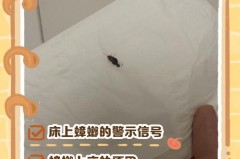 蟑螂爬过的被子能睡么，蟑螂爬过的被褥有毒吗？