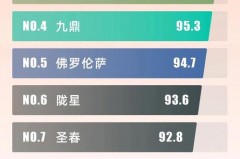 家用暖气片什么品牌的质量好，口碑比较好的家用暖气片？