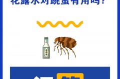 花露水洗澡可以预防跳蚤咬吗，花露水能去跳蚤吗