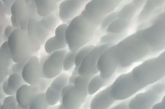 乳状云是什么的预兆_乳状云出现代表什么