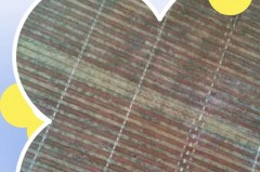 凉席有点霉了用什么擦_凉席霉了怎么洗