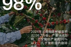 中国99%咖啡产自云南，为什么云南适合种咖啡，云南种植的咖啡是什么种