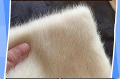 貂皮沾灰尘怎么办，貂皮灰尘很多怎么清理