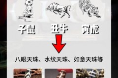 十二生肖佩戴几眼天珠，十二生肖对应佩戴什么天珠？