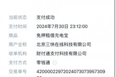 共享充电宝是按充电时间收费还是还的时间_共享充电宝用电