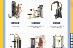 瑜伽球是有氧还是无氧，瑜伽球除了健身还有什么用