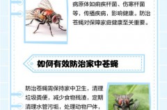 为什么快入冬了蚊子突然变多_快入冬了怎么还有蚊子